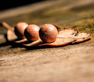 手机版ddos攻击器