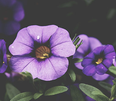 免费ddos在线攻击